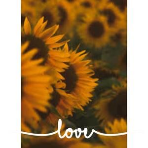 Meet your Posher, Abbygail